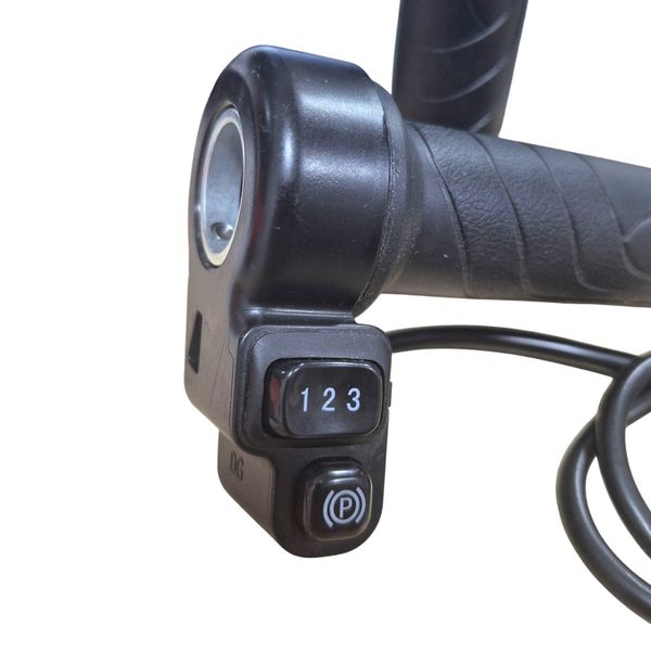 Acelerador C/ Controle de Velocidade 1 2 3 e Buzina (Manopla - Punho Grande) EKO-5/EKO-6