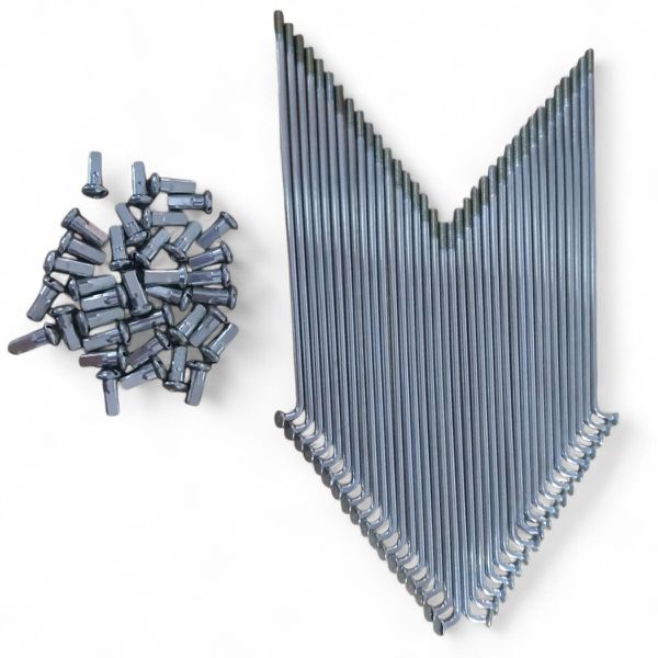 Raio Traseiro Aro 24'', Zinc. C/ Niple Ø 3,0x145,0mm CONFORT/MAXX (Motor G) (Kit 36 un)