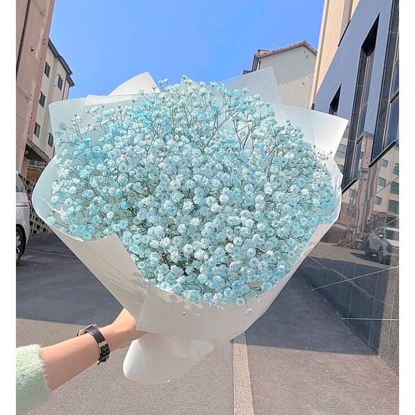 Gypsophila Azul | Floricultura FLORA BARIGUI