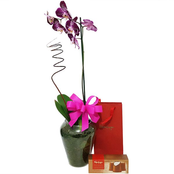 Orquídea e Nha Benta