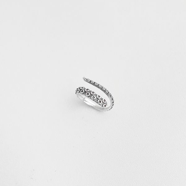 Anel espiral polvo prata 925 