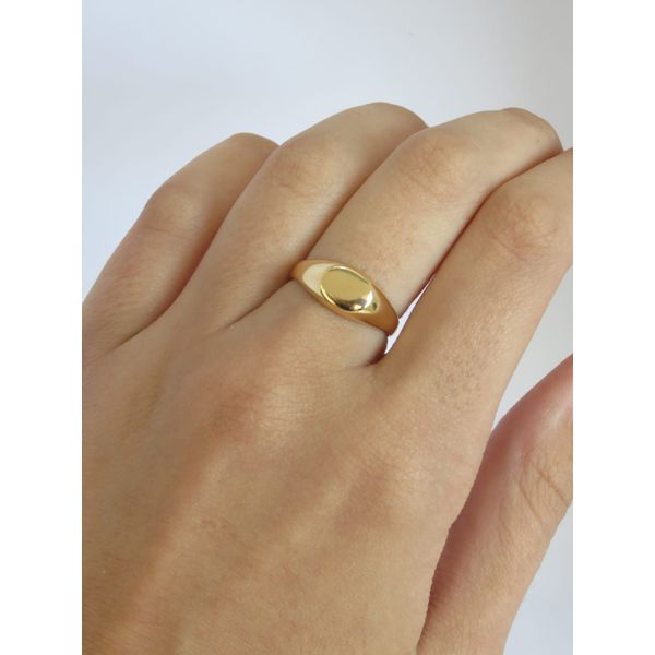 Anel Sinete Oval 2mm - BRIDA FOLHEADOS