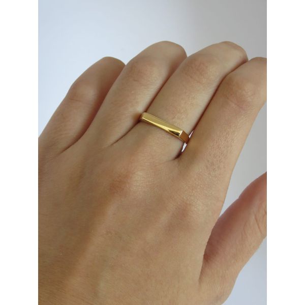 Anel Sinete Retangular 2mm - BRIDA FOLHEADOS