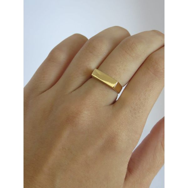 Anel Sinete Retangular 4mm - BRIDA FOLHEADOS