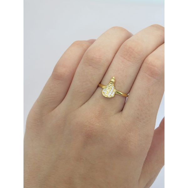Anel Nossa Senhora Aparecida 1mm - BRIDA FOLHEADOS