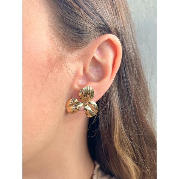 Brinco Folhas - BRIDA FOLHEADOS