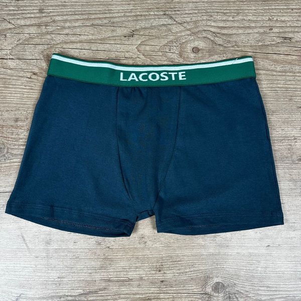 Cueca LCT Cinza