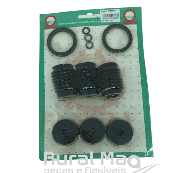 REPARO DA BOMBA KO 3PV 17066800