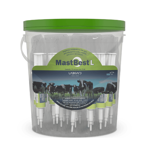 Balde Com 50 Unidades - Seringa Mast Belst L