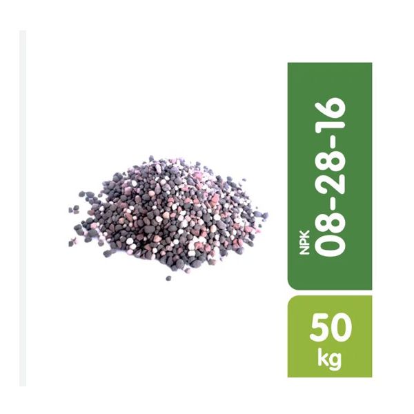 ADUBO 08-28-16 (SACO 50KG)
