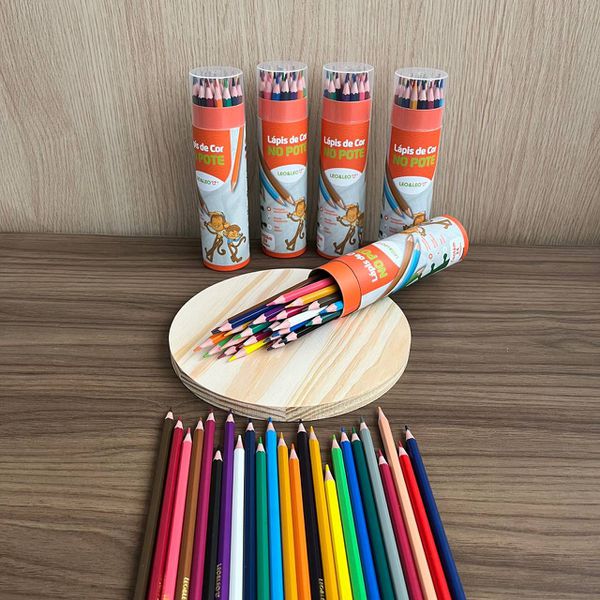 LAPIS DE COR SEXTAVADO 24 CORES LEOELEO