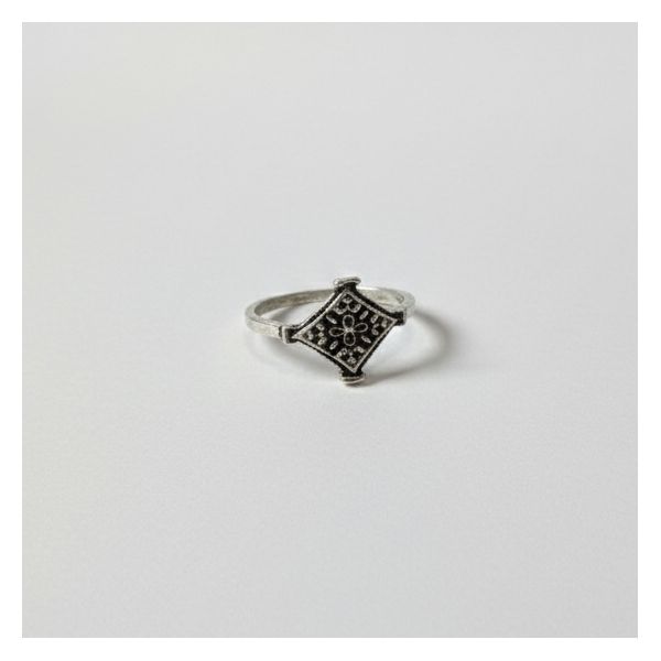 Anel de Inox com Pedra Country Tam 14