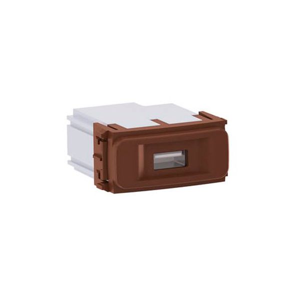 MODULO TOMADA USB BIVOLT KEYSTONE MARROM COMPOSÉ 