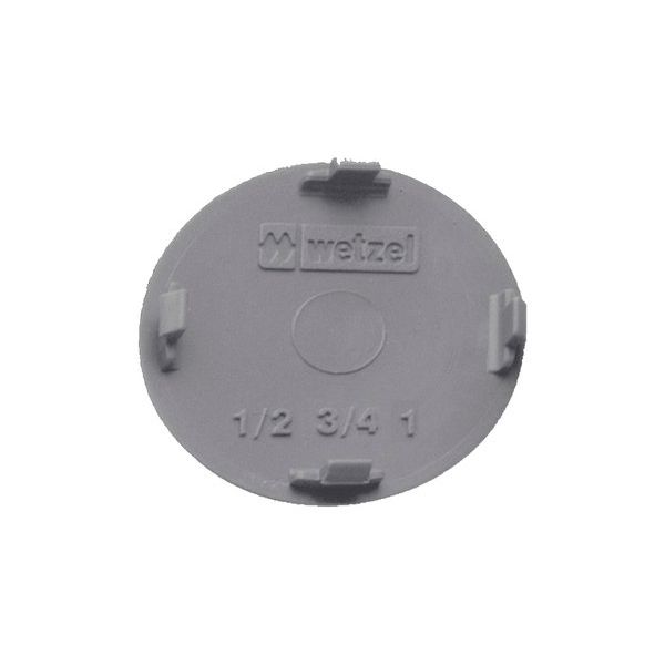 TAMPÃO PVC CINZA 1/2 E 3/4 POLIWETZEL