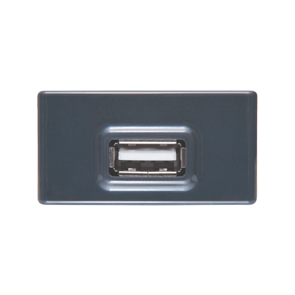 MÓDULO TOMADA USB BIVOLT 1.5A GRAFITE LIZ