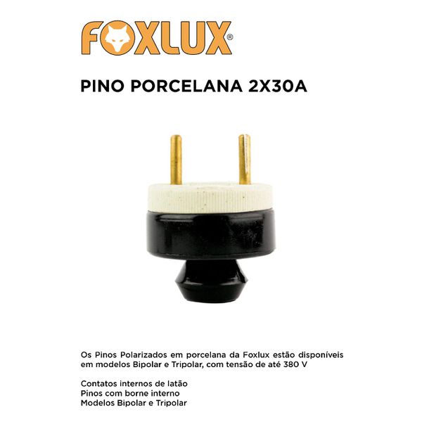 PINO EXTERNO PORCELANA 2X30A FOXLUX