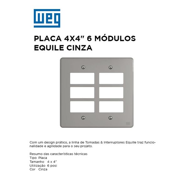PLACA 4X4 6 MOD CINZA EQUILE 