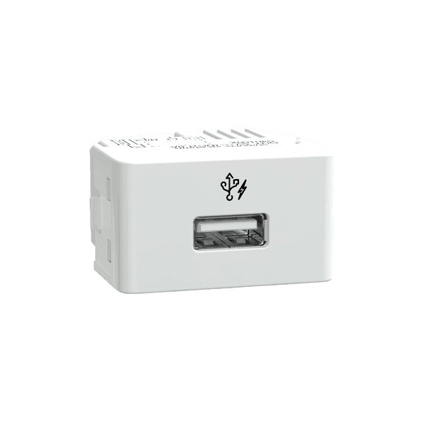 MODULO TOM USB 1A BIV BCO LUNARE UP SCHNEIDER (S401500)