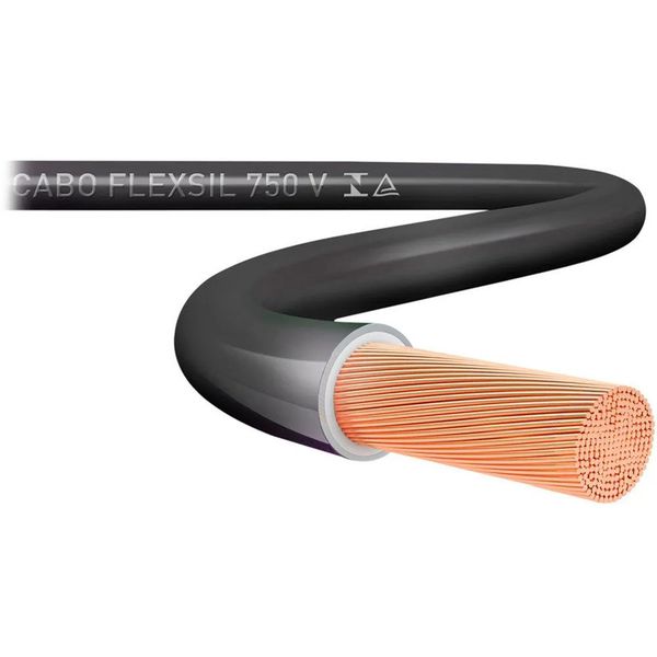 FIO CABO FLEXÍVEL 10 MM COM 100 METROS 