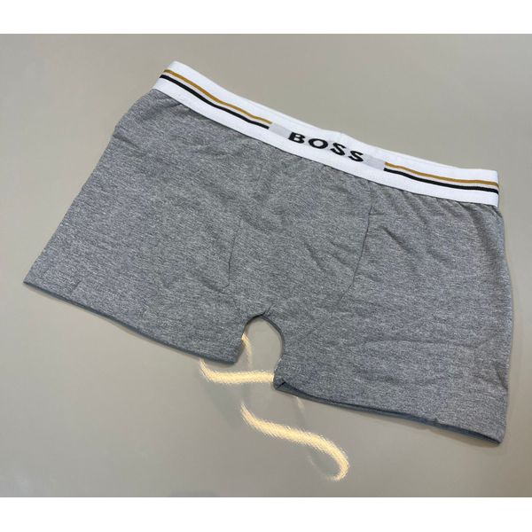 Cueca Boxer BSS - Cinza
