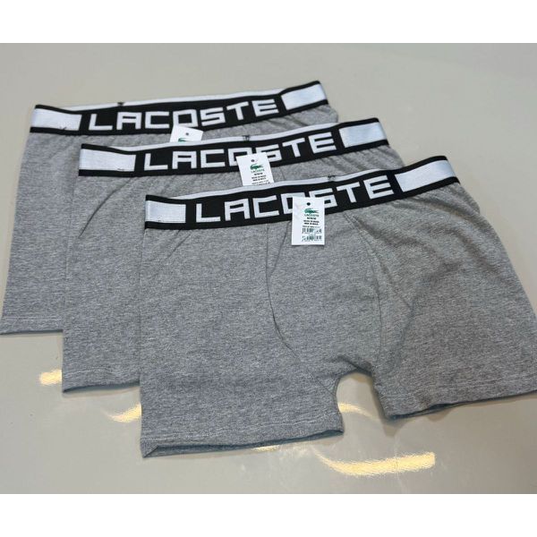 Cueca Boxer Lcst - Cinza