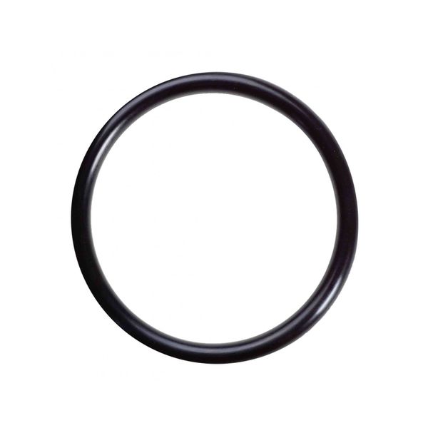 ANEL O RING 49.00MM X 5.30MM 100822 BLUKIT