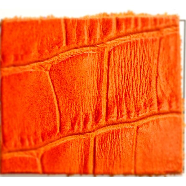 CROCO COR PONKAN ESP.12/14