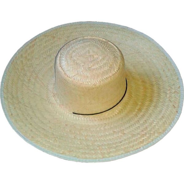 CHAPEU PALHA GROSSA SIMPLES COM ORLA PLASTICA E BARBICACHO ABA