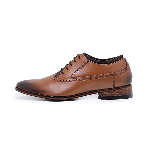 Sapato Social Masculino Oxford Brogue Scott Paulo Vieira - 522/1102 - Caramelo