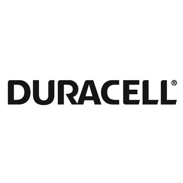 Pilha AA Alcalina DURACELL (c/2un.)