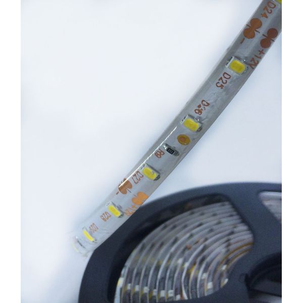 Fita de Led Branco Quente 5m - MOD. 35X28 S/Fonte