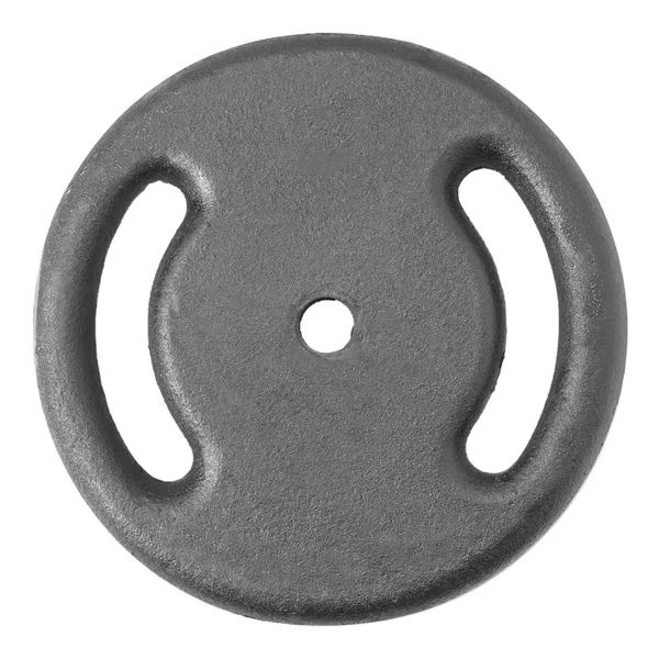 Anilha Pintada (15 Kg)
