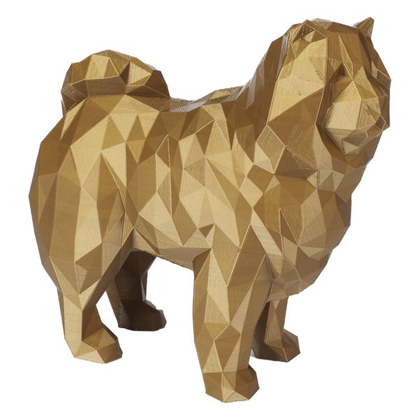 Chow Chow - Dourado