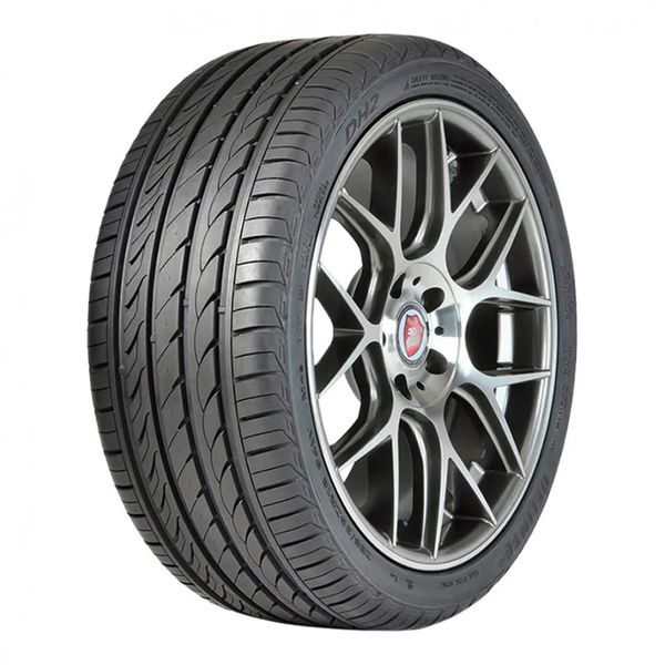 Pneu Delinte ARO 17" 205/45 ZR17 85W XL DH2