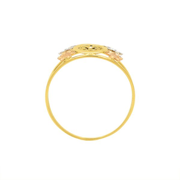 Anel De Ouro 18k Jardim Tricolor 