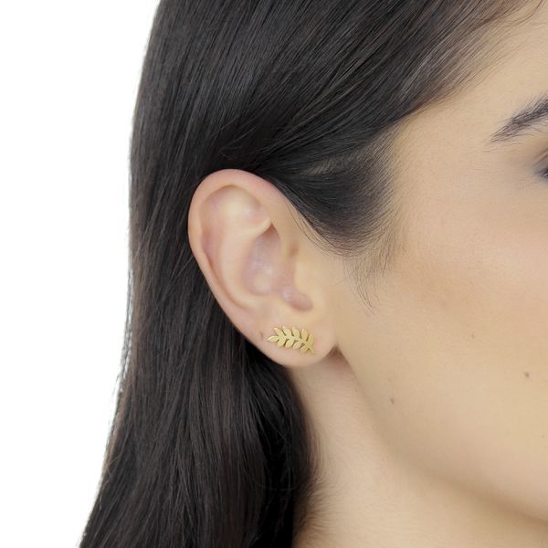 Brinco De Ouro 18k Folha de Arruda