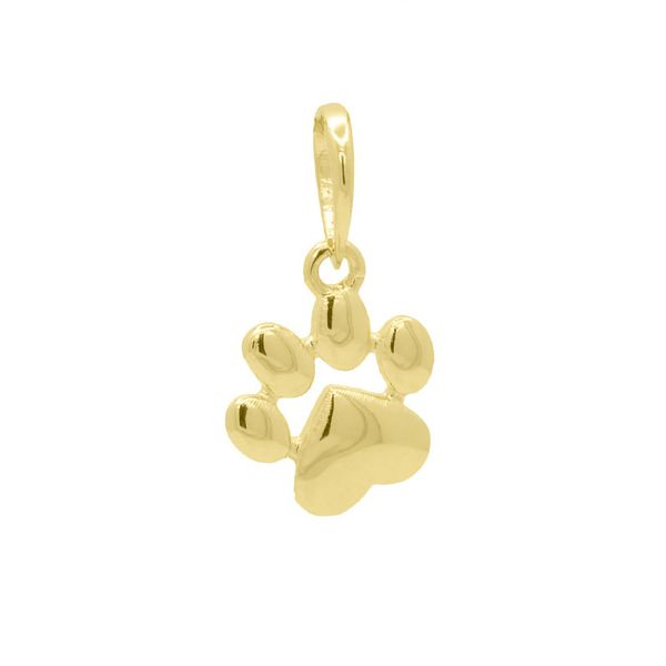 Pingente De Ouro 18k Patinha