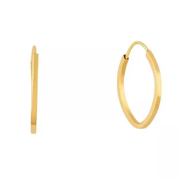 Brinco De Ouro 18k Argola Oval Plus G