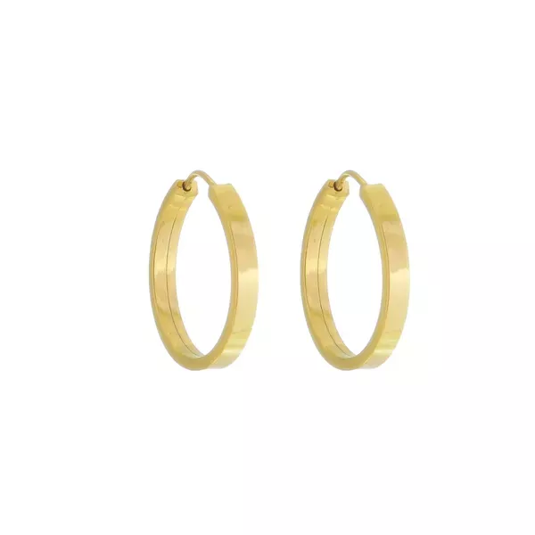 Brinco De Ouro 18k Argola Simples