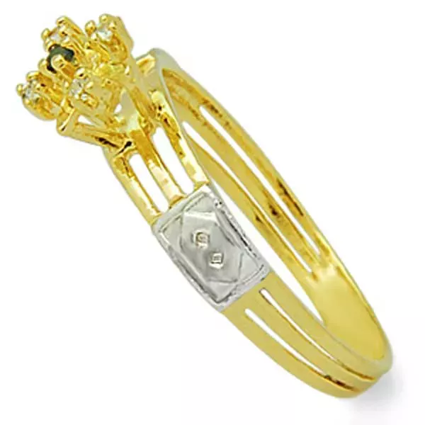 Anel De Formatura De Ouro 18k Argentina - Feminino