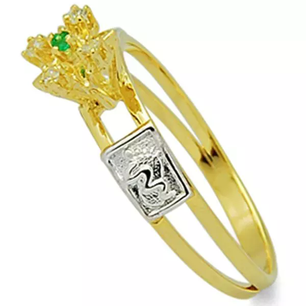 Anel De Formatura De Ouro 18k Suriname - Feminino