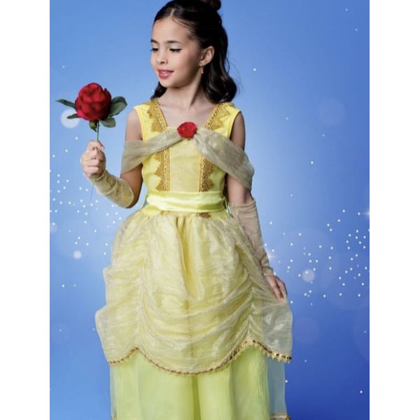 fantasia princesa