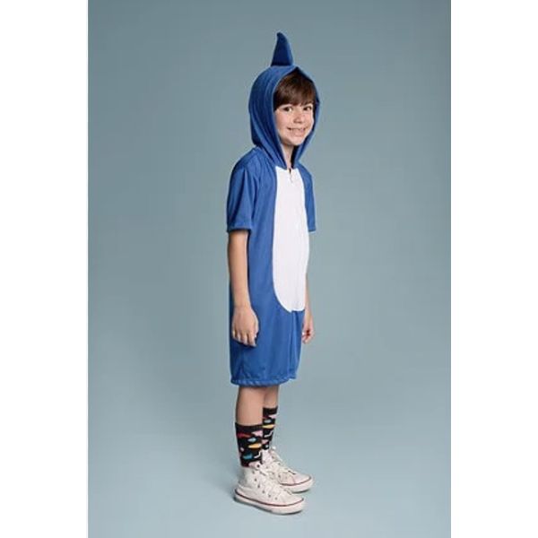 fantasia sonic 