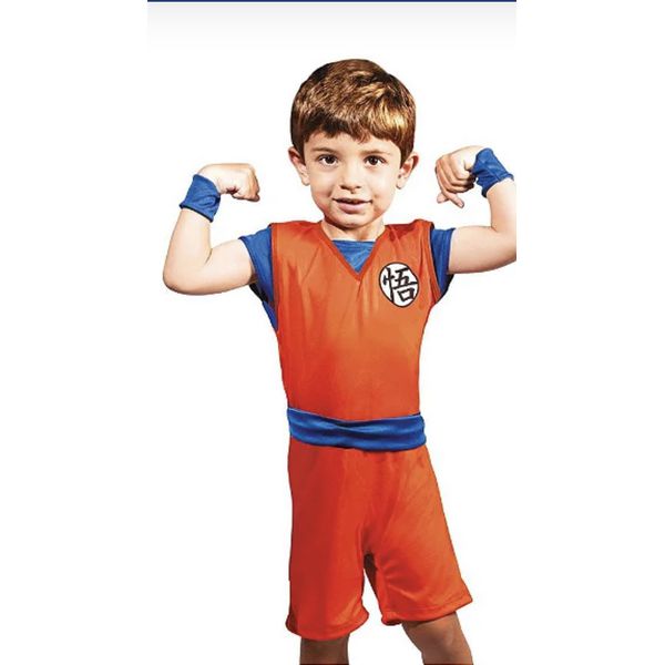Fantasia Infantil Dragon Ball Z Goku