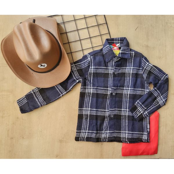 Camisa Xadrez Festa Junina São João Festival