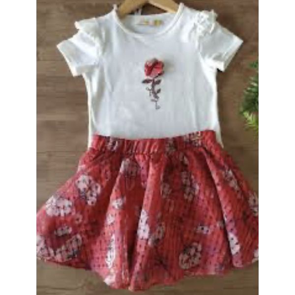 conjunto carinhoso 
