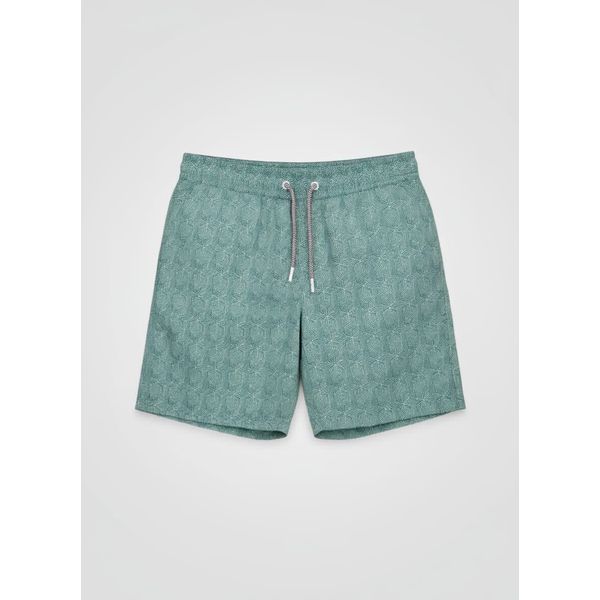 Bermuda diametro verde folha 