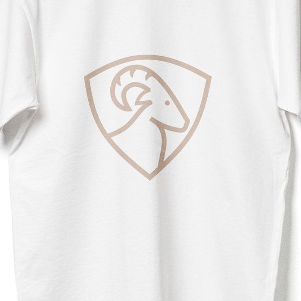 Camiseta Masculina Ferragon Boots Branca