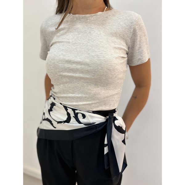 BASSICA TIENE CINZA MESCLA