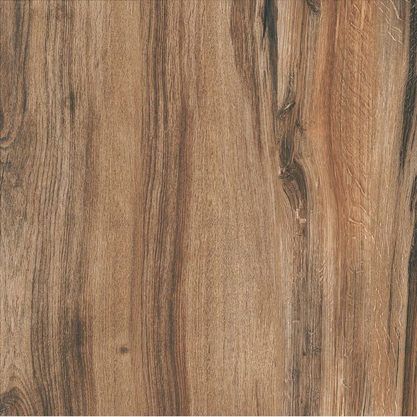 PISO 61X61 FORMIGRES ECONATURE MARROM HD BRILHANTE 